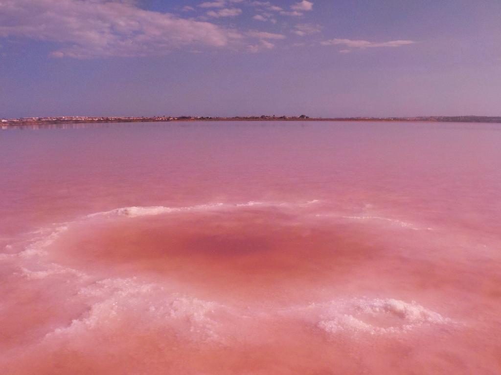 Апартаменты La Siesta Торевьиа Номер фото